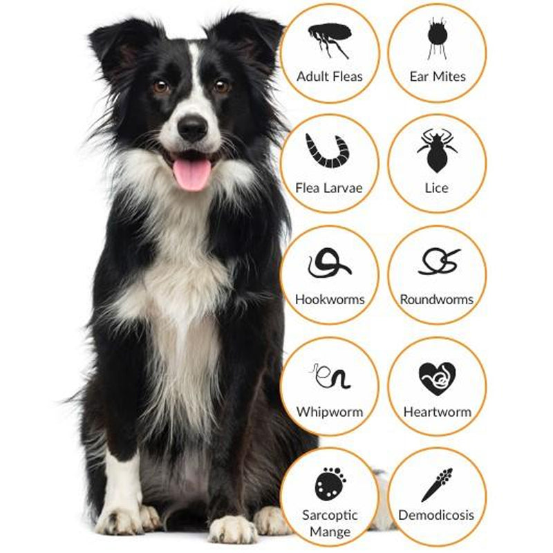 Advocate Spot-on Solution for Dogs - 1,0 ml