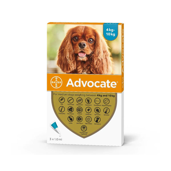 Advocate Spot-on Solution for Dogs - 1,0 ml