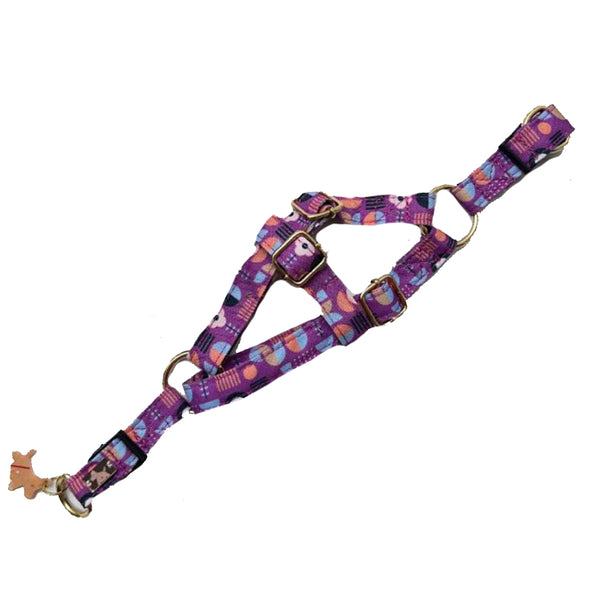 Aurora Walk In Dog Harness