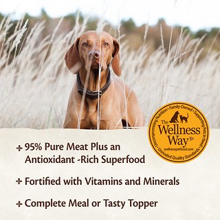 CORE 95% Beef With Carrots Grain-Free Dog Food
