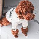 Chasetian Dogior White Knit Dog Sweater