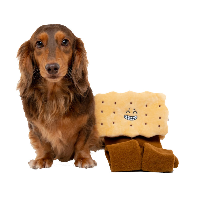 Hide N Seek  – Sandwich Biscuit Dog Toy