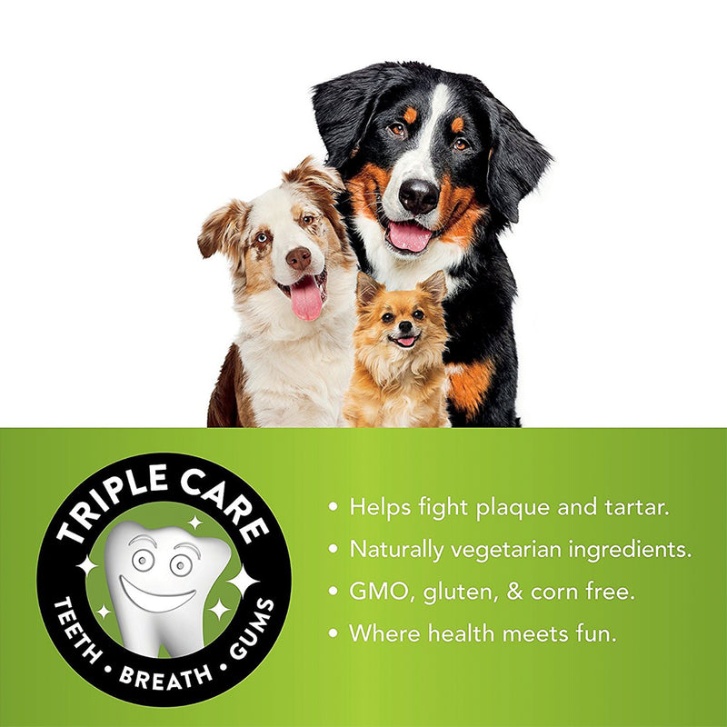 Stix Dental Dog Chew Treats