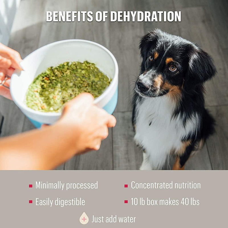 Limited Ingredient Diet Turkey Recipe Grain-Free (Marvel) Dehydrated Dog Food