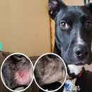 Organic Skin Soother