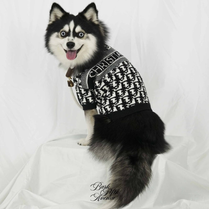 Chasetian Dogior Black Knit Sweater