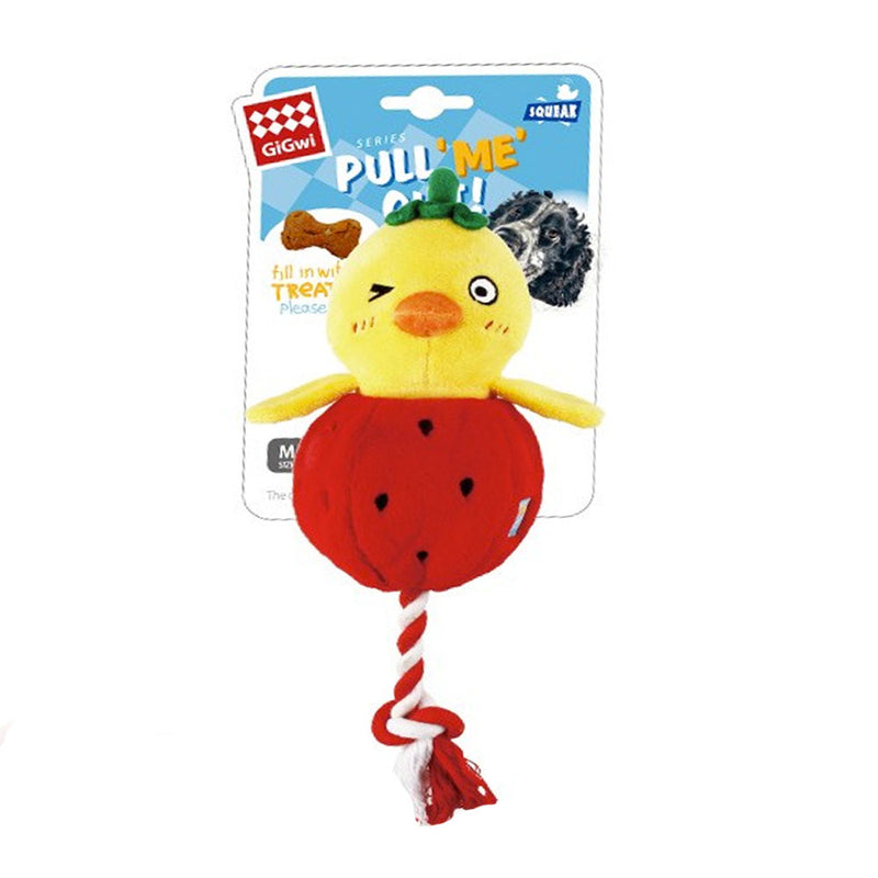 Foodie Ord with Squeaker Inside - Chick Dog Toy