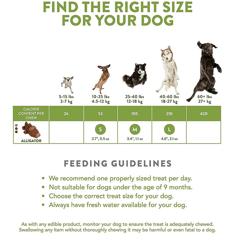 Alligator Dental Dog Chew Treats