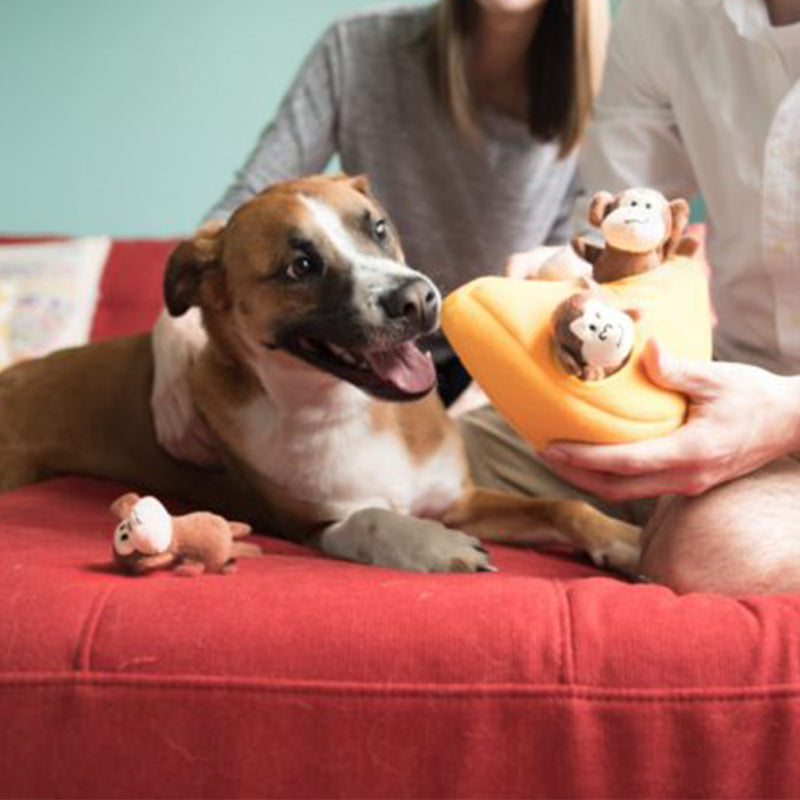 Zippy Burrow - Monkey 'n Banana Dog Toy