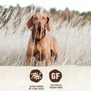 CORE Bowl Boosters Tender Whitefish & Salmon Recipe Mixer or Topper Dog Food