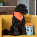 Grain-Free Air-Dried Beef Lung Protein Bites Dog Treats