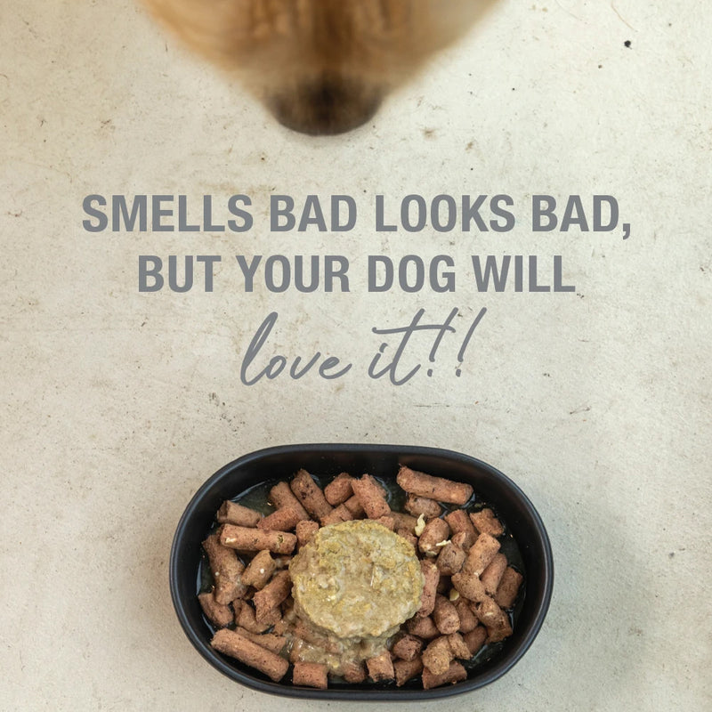 Canned Lamb Green Tripe Dog Food