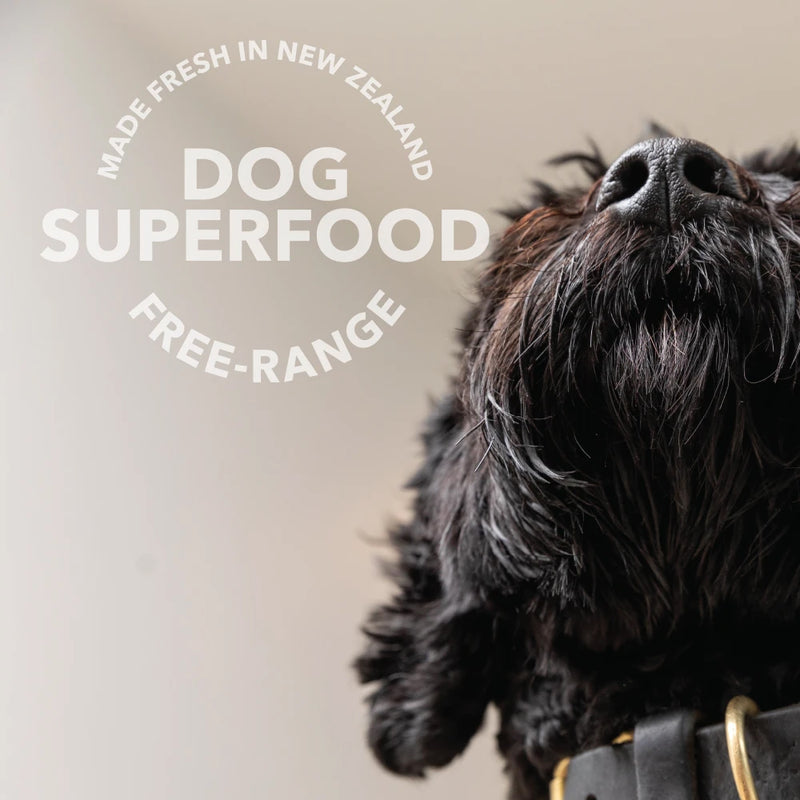Canned Lamb Green Tripe Dog Food