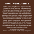 Original Grain-Free Beef Recipe Dry Dog Food - 20lb