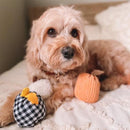Halloween Miniz 3-Pack Gourds Dog Toy