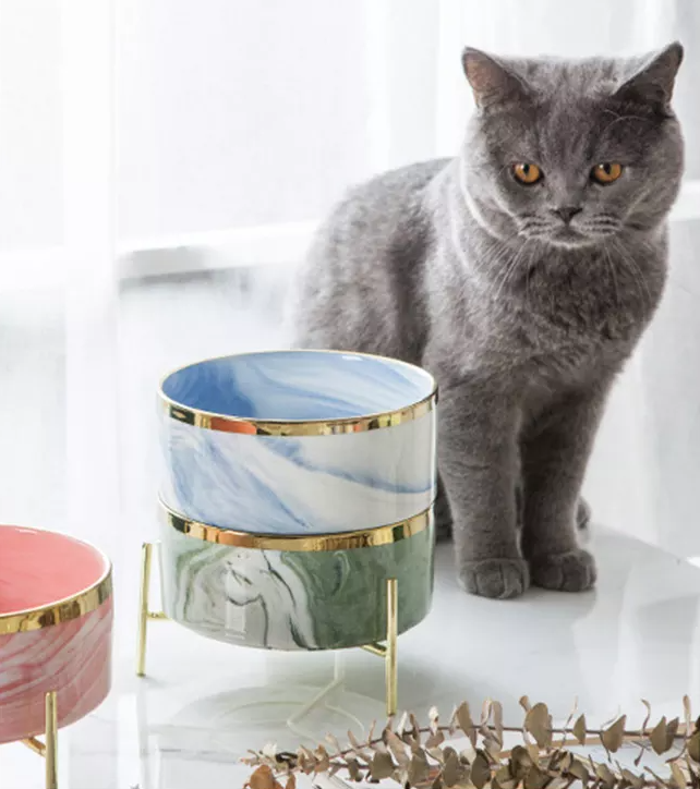 Marble Pet Bowl With Gold Stand