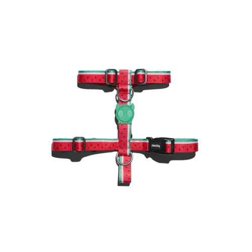 Lola H-Harness