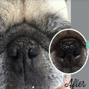Organic Snout Soother