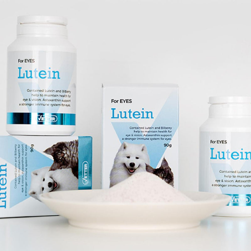 Lutein Eyes Supplement for Cats and Dogs
