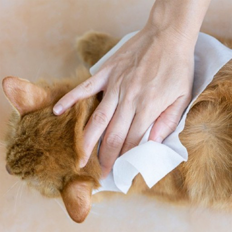 Antibacterial Pet Wipes 80 Sheet