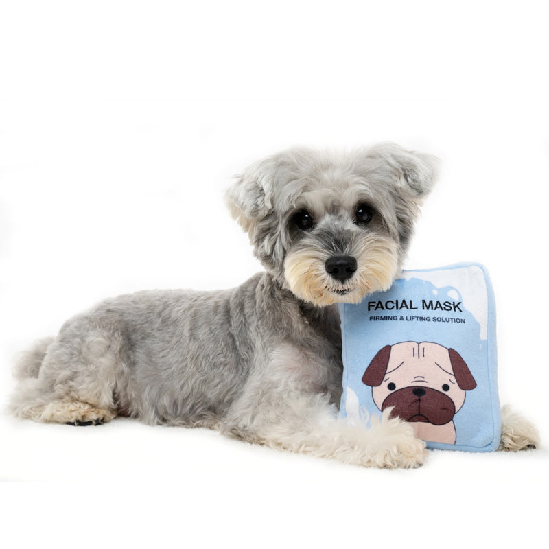 Hide N Seek  – Facial Mask Dog Toy