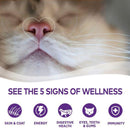 Complete Health Pate Chicken Grain-Free Cat Food