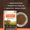 Original Grain-Free Salmon Recipe Dry Cat Food - 4,5 lb