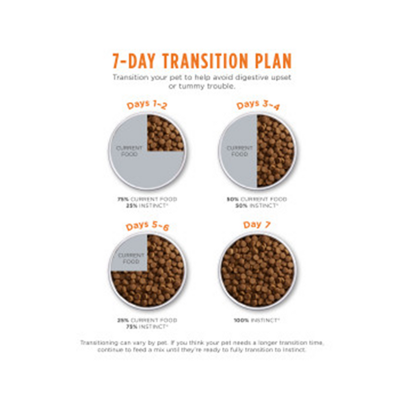 Original Grain-Free Salmon Recipe Dry Cat Food - 4,5 lb