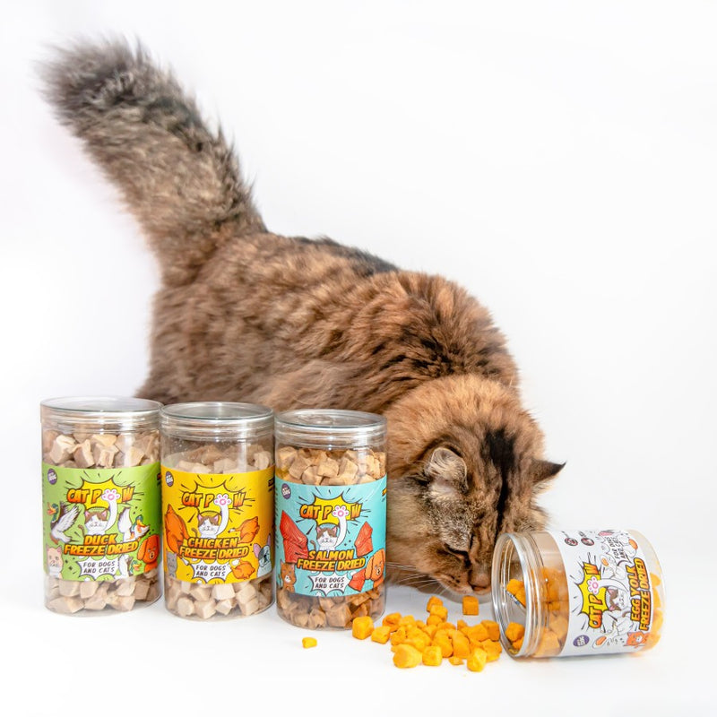 Freeze-Dried Egg Yolk Dog and Cat Treats