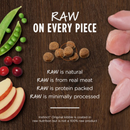 Original Grain-Free Rabbit Recipe Dry Cat Food - 4,5 lb