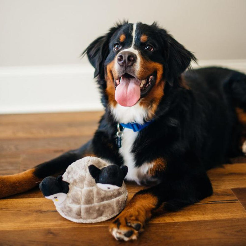 ZippyPaws Zippy Burrow - Penguin Cave Interactive Puzzle Dog Toy