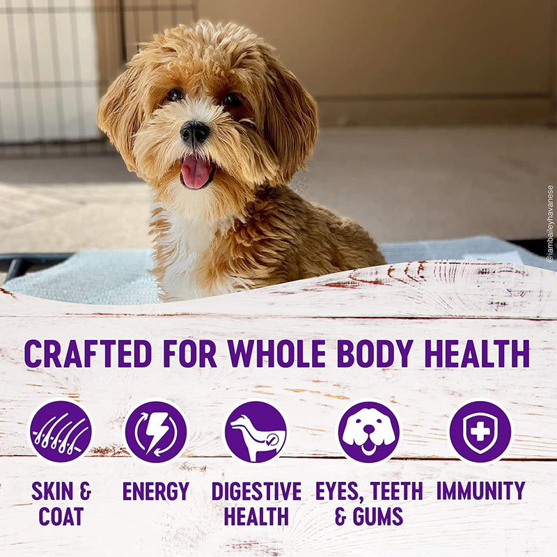 Complete Health Small Breed Adult Dog Food