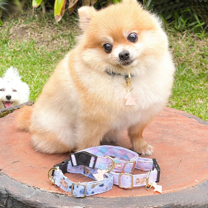 Mermaid Dog And Cat Collar