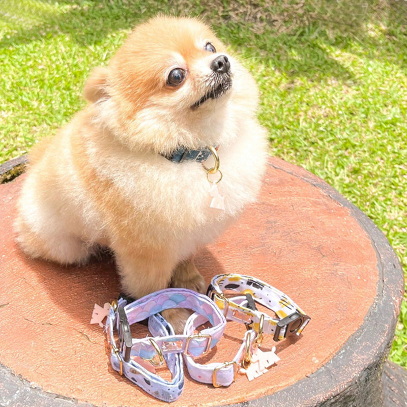 Mermaid Dog And Cat Collar