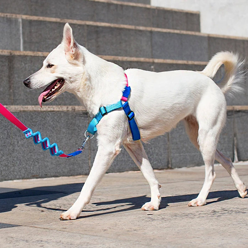 Cooly Soft-Walk Harness