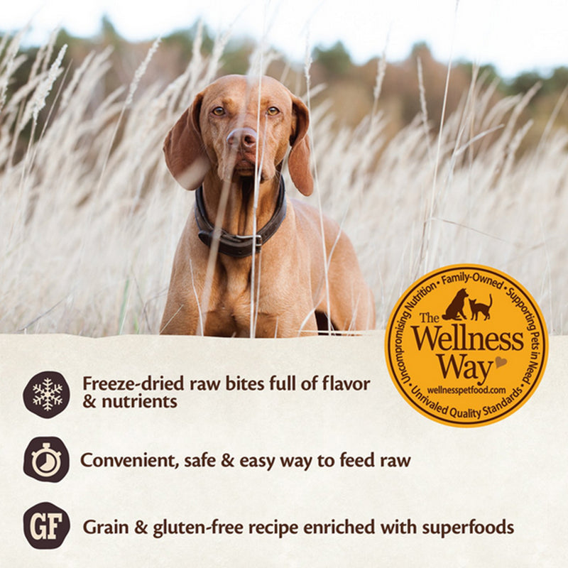 Wellness core rawrev clearance healthy weight