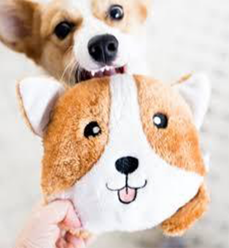 Corgi Bun Dog Toy