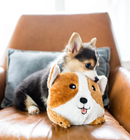 Corgi Bun Dog Toy
