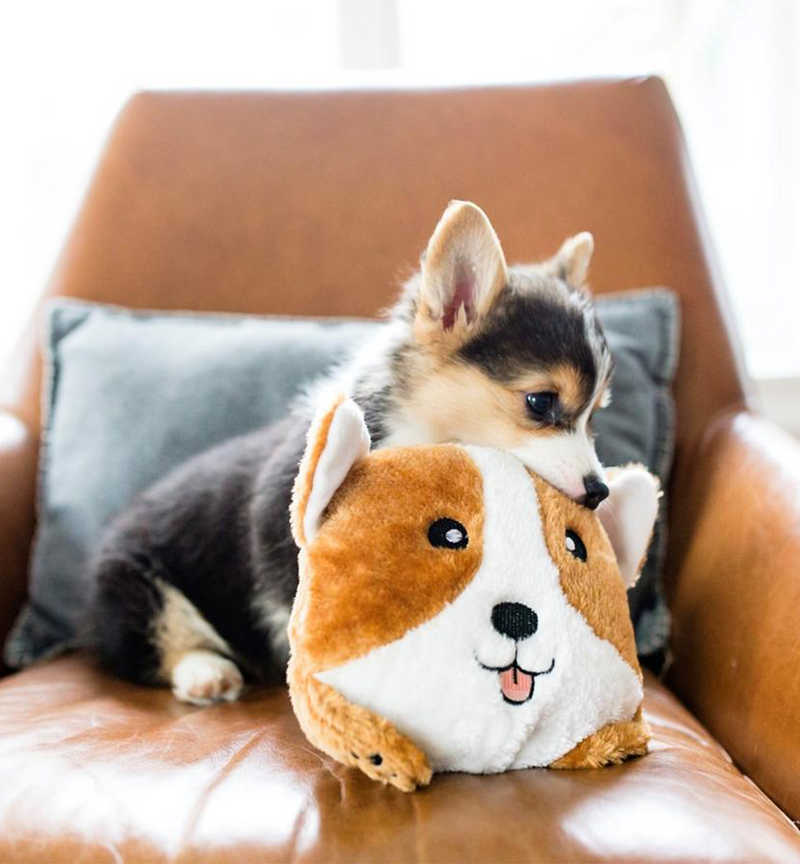 Corgi Bun Dog Toy