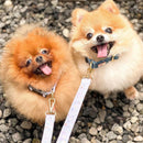 Mermaid Coupler Double Leash For Dogs