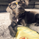 ZippyPaws Z-Stitch - Yellow Notepad Dog Toy