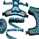 Reversible Dog Leash - Bark Shark