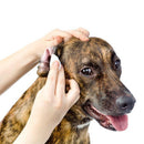 Herbal Eardrops & Cleanser