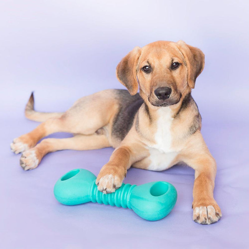 ZippyPaws ZippyTuff Squeakerz - Dumbbell