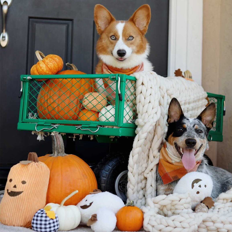 Halloween Miniz 3-Pack Gourds Dog Toy