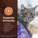 Core Digestive Health Turkey Pate Recipe Grain-Free Canned Cat Food