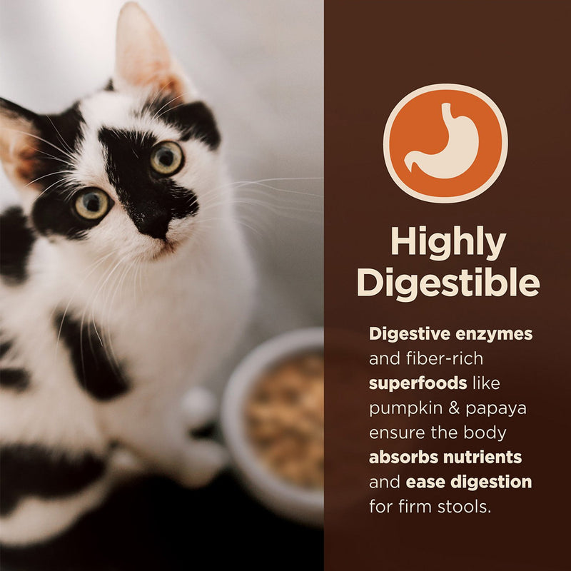 Core Digestive Health Turkey Pate Recipe Grain-Free Canned Cat Food