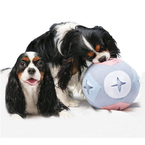 Snuffle Ball Regular Dog Cat Pet Toys