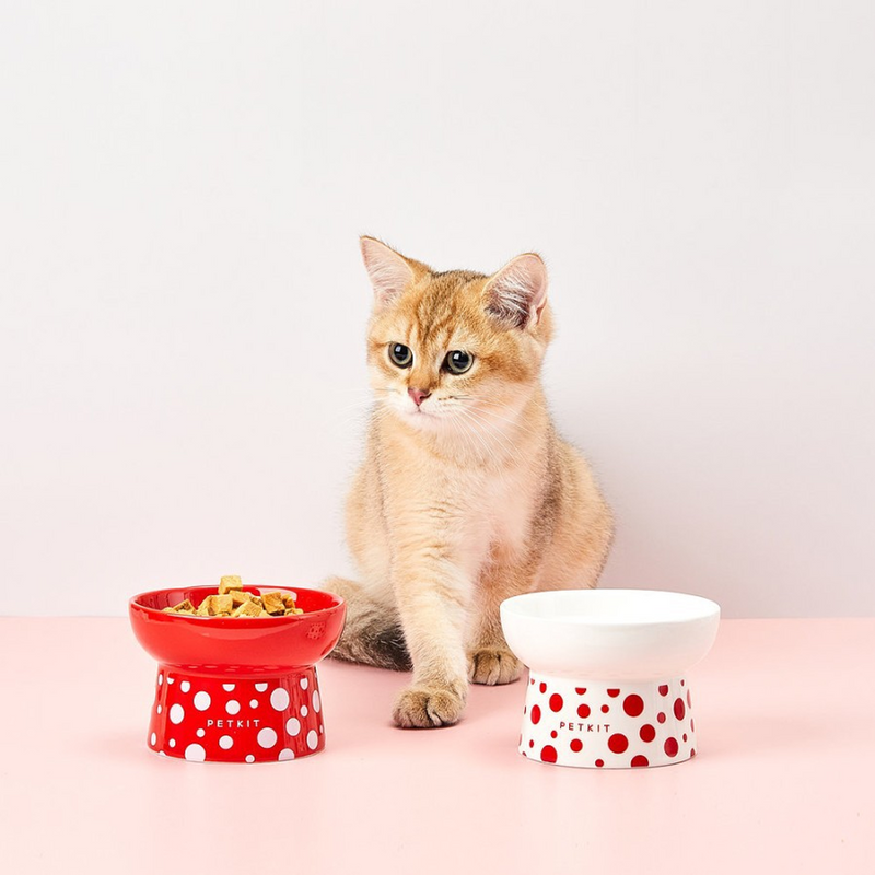 Polkadot Double Cat Feeding Bowl