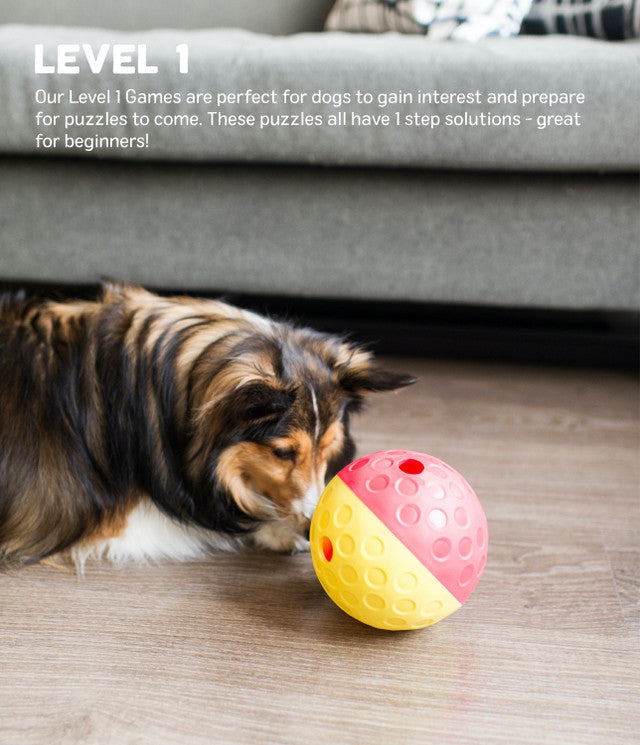 Outward Hound Treat Tumble Dog Toy